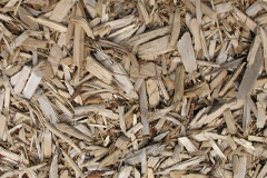 biomass boilers Ochiltree